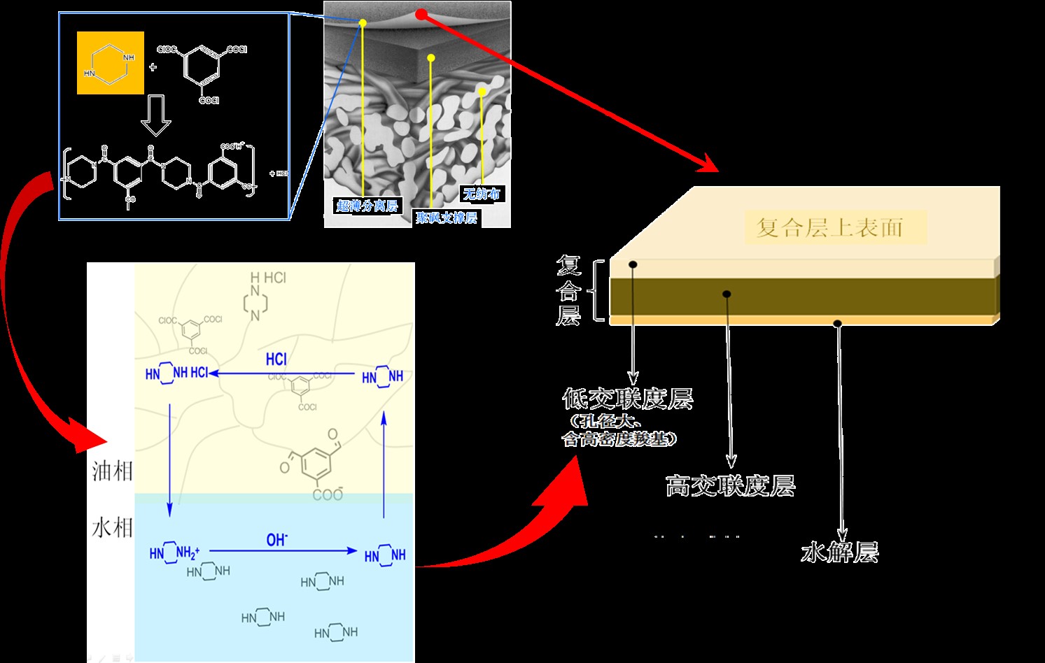 黄酮类原料药-2.jpg
