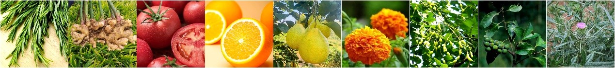 膜技术革新食品添加剂-1.jpg